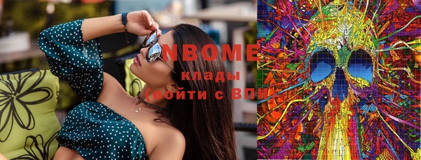 мдпв Каменка