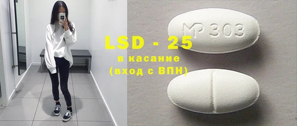 мдпв Каменка
