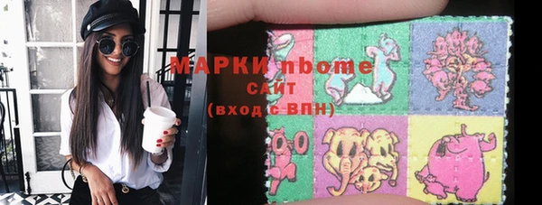шишки Киренск