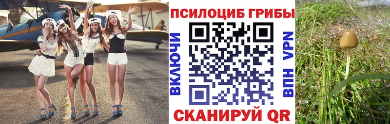 Купить где  Рославль  Галлюциногенные грибы Magic Shrooms 